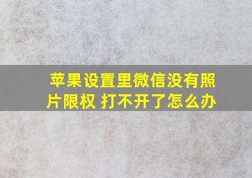 苹果设置里微信没有照片限权 打不开了怎么办